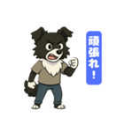 ボーダーコリーのカイの喜怒哀楽スタンプ 1（個別スタンプ：12）