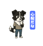 ボーダーコリーのカイの喜怒哀楽スタンプ 1（個別スタンプ：13）