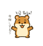 ハムスターカップル会話（個別スタンプ：4）