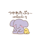 ぞうさんとタイ語スタンプ（個別スタンプ：8）