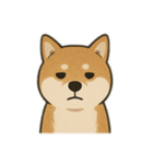 ジーっと目スタンプ（個別スタンプ：1）