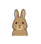 ジーっと目スタンプ（個別スタンプ：3）