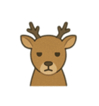 ジーっと目スタンプ（個別スタンプ：16）