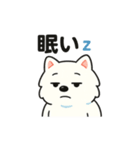 ハクの部屋/ 日常使えるスタンプ3（個別スタンプ：16）