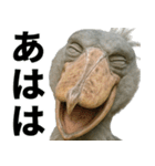 ハシビロコウのリアル日常スタンプ（個別スタンプ：2）