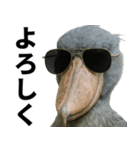 ハシビロコウのリアル日常スタンプ（個別スタンプ：4）