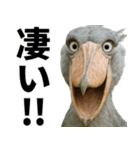 ハシビロコウのリアル日常スタンプ（個別スタンプ：7）