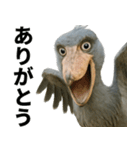 ハシビロコウのリアル日常スタンプ（個別スタンプ：9）