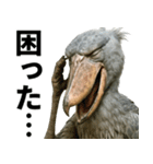 ハシビロコウのリアル日常スタンプ（個別スタンプ：18）