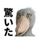 ハシビロコウのリアル日常スタンプ（個別スタンプ：20）
