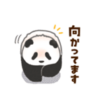 毎日使える！家族の連絡パンダ（個別スタンプ：24）