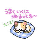 『ミケ猫』心が楽になる、癒し系シリーズ（個別スタンプ：17）