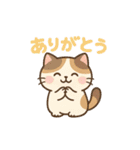 にゃんこことばスタンプ 24（個別スタンプ：3）