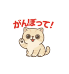 にゃんこことばスタンプ 24（個別スタンプ：15）