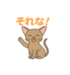 にゃんこことばスタンプ 24（個別スタンプ：17）
