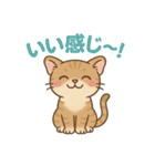 にゃんこことばスタンプ 24（個別スタンプ：20）