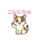 にゃんこことばスタンプ 24（個別スタンプ：24）