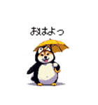 ペンギン太っちょ柴犬2 梅雨に向かって（個別スタンプ：2）