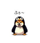 ペンギン太っちょ柴犬2 梅雨に向かって（個別スタンプ：10）