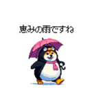 ペンギン太っちょ柴犬2 梅雨に向かって（個別スタンプ：12）