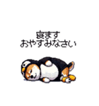 ペンギン太っちょ柴犬2 梅雨に向かって（個別スタンプ：16）