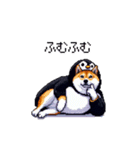 ペンギン太っちょ柴犬2 梅雨に向かって（個別スタンプ：20）