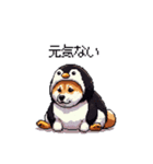 ペンギン太っちょ柴犬2 梅雨に向かって（個別スタンプ：27）