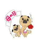 あたちパグのこうめ！！8（個別スタンプ：1）