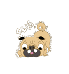 あたちパグのこうめ！！8（個別スタンプ：6）