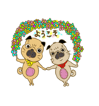あたちパグのこうめ！！8（個別スタンプ：13）
