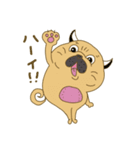 あたちパグのこうめ！！8（個別スタンプ：26）