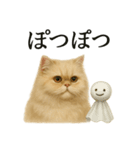 【梅雨入り】雨の日のペルシャ猫の会話（個別スタンプ：2）