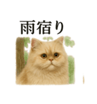 【梅雨入り】雨の日のペルシャ猫の会話（個別スタンプ：3）