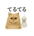 【梅雨入り】雨の日のペルシャ猫の会話（個別スタンプ：4）
