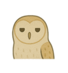 ジーっと目 鳥編（個別スタンプ：4）
