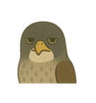 ジーっと目 鳥編（個別スタンプ：6）
