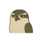 ジーっと目 鳥編（個別スタンプ：12）