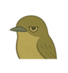 ジーっと目 鳥編（個別スタンプ：16）