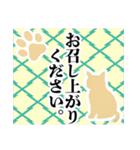 和柄と猫【挨拶】…………（個別スタンプ：27）