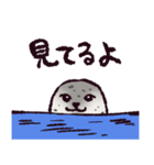 アザラシです。（個別スタンプ：4）