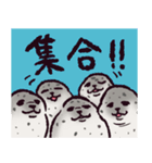 アザラシです。（個別スタンプ：7）