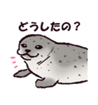 アザラシです。（個別スタンプ：13）