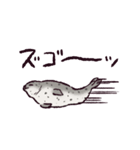 アザラシです。（個別スタンプ：24）