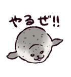 アザラシです。（個別スタンプ：33）