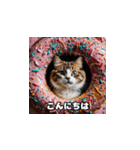 猫とスイーツの日常（個別スタンプ：1）