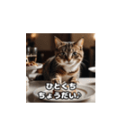 猫とスイーツの日常（個別スタンプ：3）