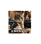 猫とスイーツの日常（個別スタンプ：9）