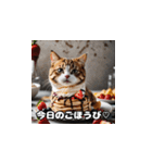 猫とスイーツの日常（個別スタンプ：13）