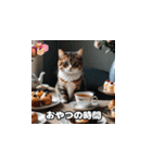 のんびりにゃんこタイム（個別スタンプ：1）