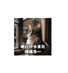 のんびりにゃんこタイム（個別スタンプ：6）